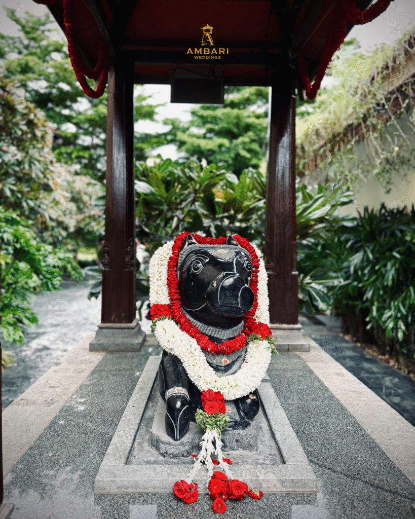 Home ambari weddings posts (19)